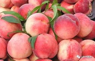 国产丨蜜桃 精品入口,尽享甜蜜滋味